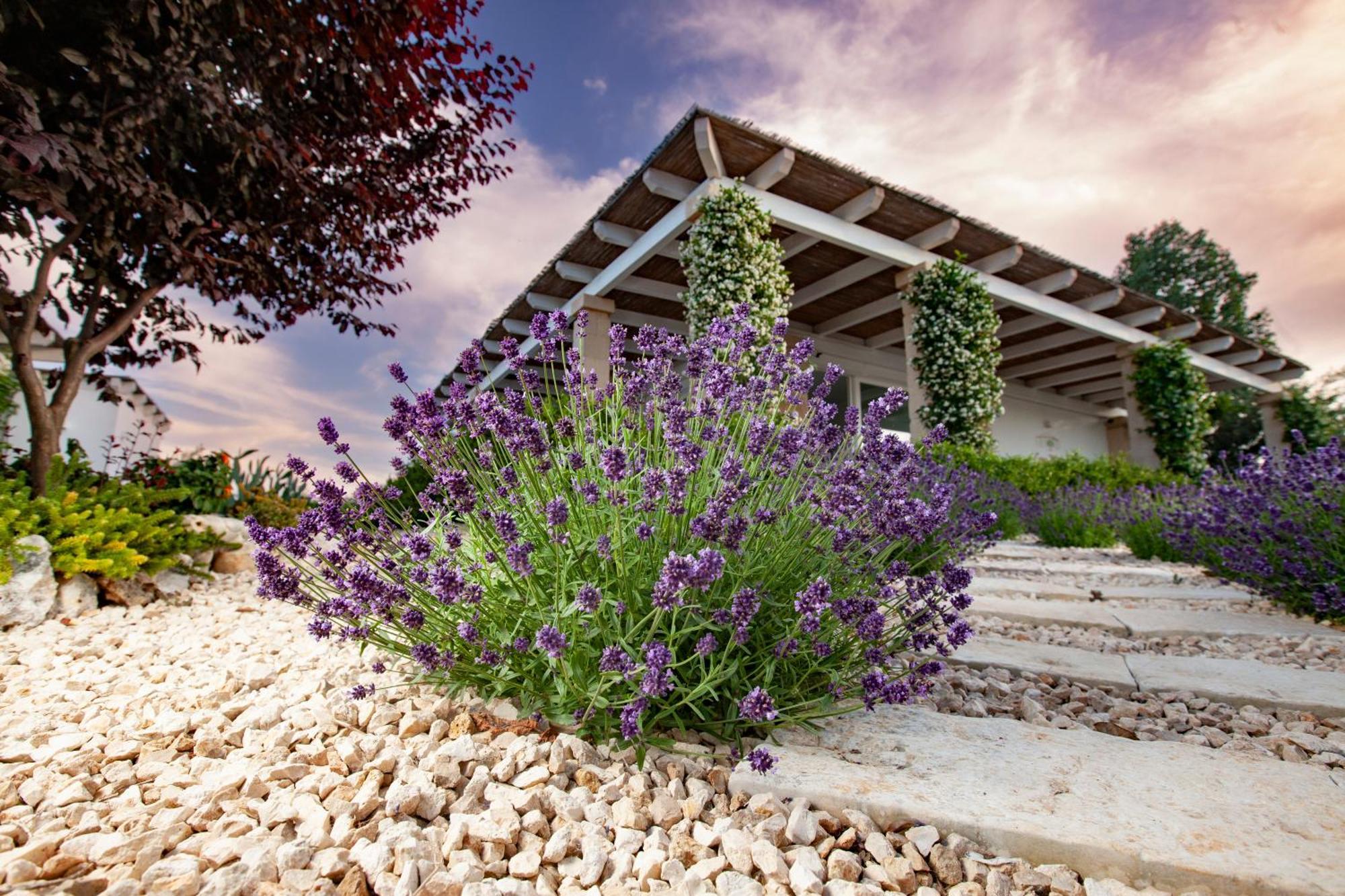 Casa Mia In Puglia Guest House Конверсано Екстериор снимка